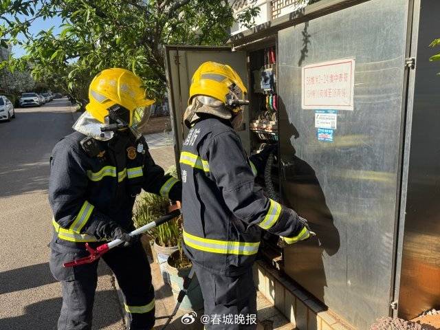 一條菜花蛇鉆進電表箱:電表計量箱